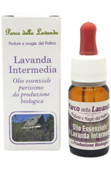 Olio Essenziale di Lavanda Intermedia